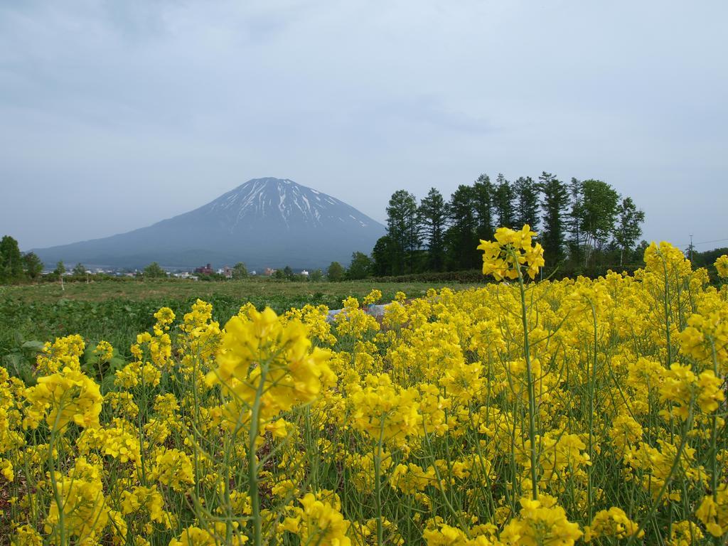 Niseko Tabi-Tsumugi Backpackers Hostel Kutchan Buitenkant foto